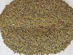 Manufacturers Exporters and Wholesale Suppliers of Cumin Seed Jaipur Rajasthan